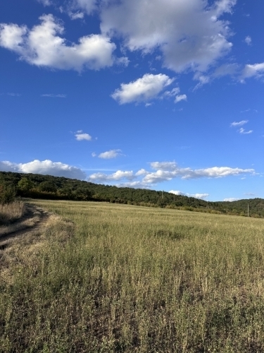 Стара Загора, с. Кирилово, Продава 